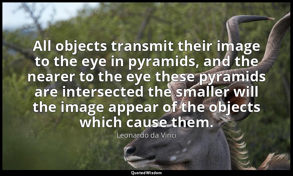 All objects transmit their image to the eye in pyramids, and the nearer to the e — Leonardo da Vinci