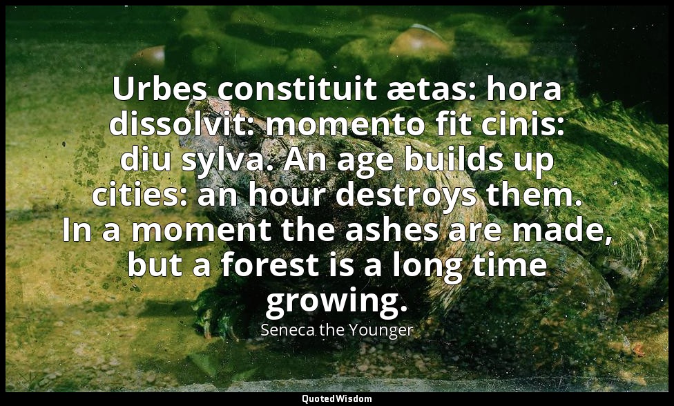 Urbes constituit ætas: hora dissolvit: momento fit cinis: diu sylva. An age buil — Seneca the Younger