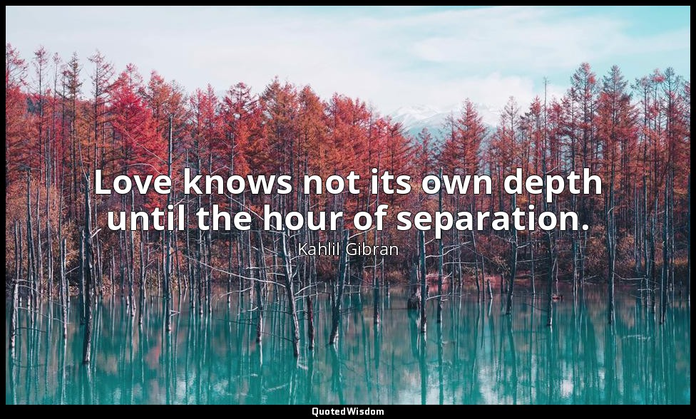 Love knows not its own depth until the hour of separation. — Kahlil Gibran