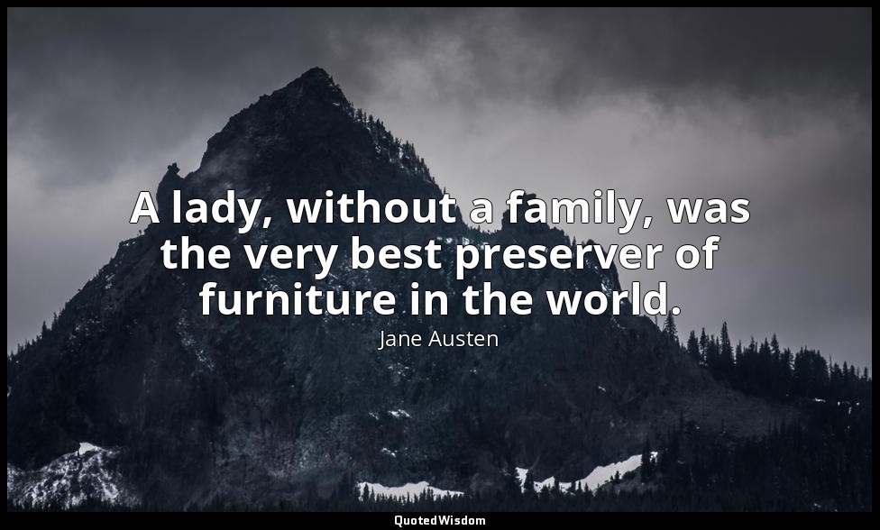 A lady, without a family, was the very best preserver of furniture in the world. — Jane Austen