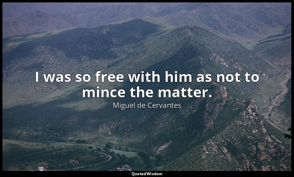 I was so free with him as not to mince the matter. — Miguel de Cervantes