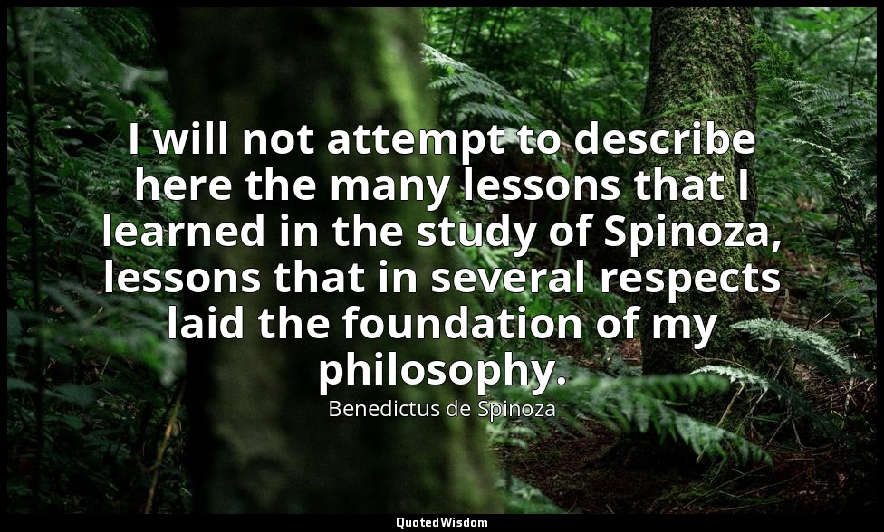 I will not attempt to describe here the many lessons that I learned in the study — Benedictus de Spinoza