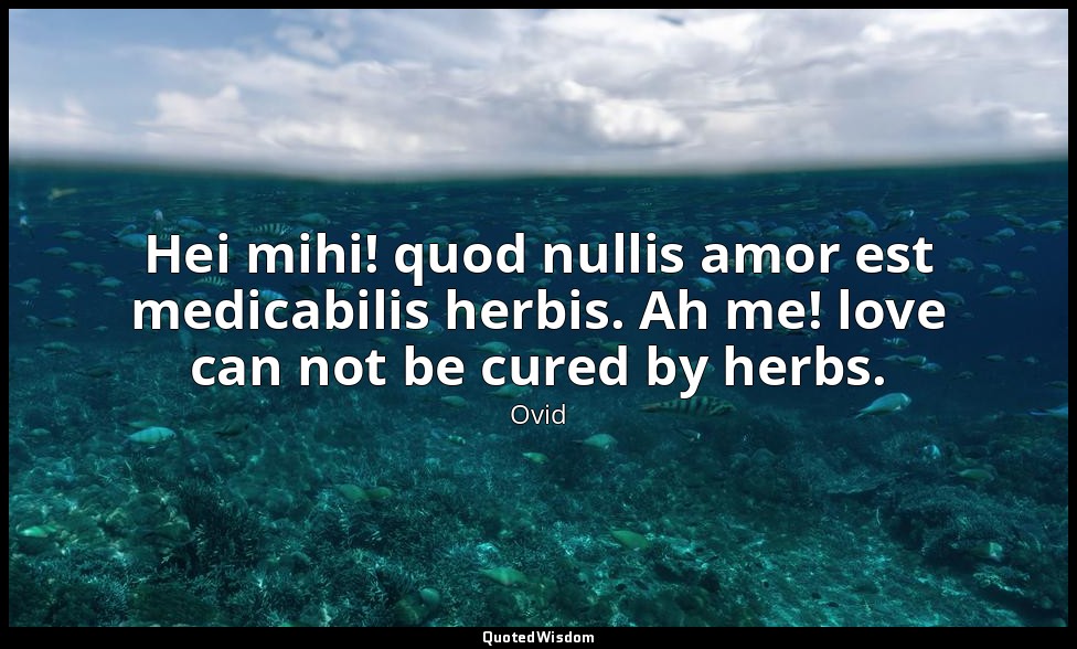 Hei mihi! quod nullis amor est medicabilis herbis. Ah me! love can not be cured  — Ovid