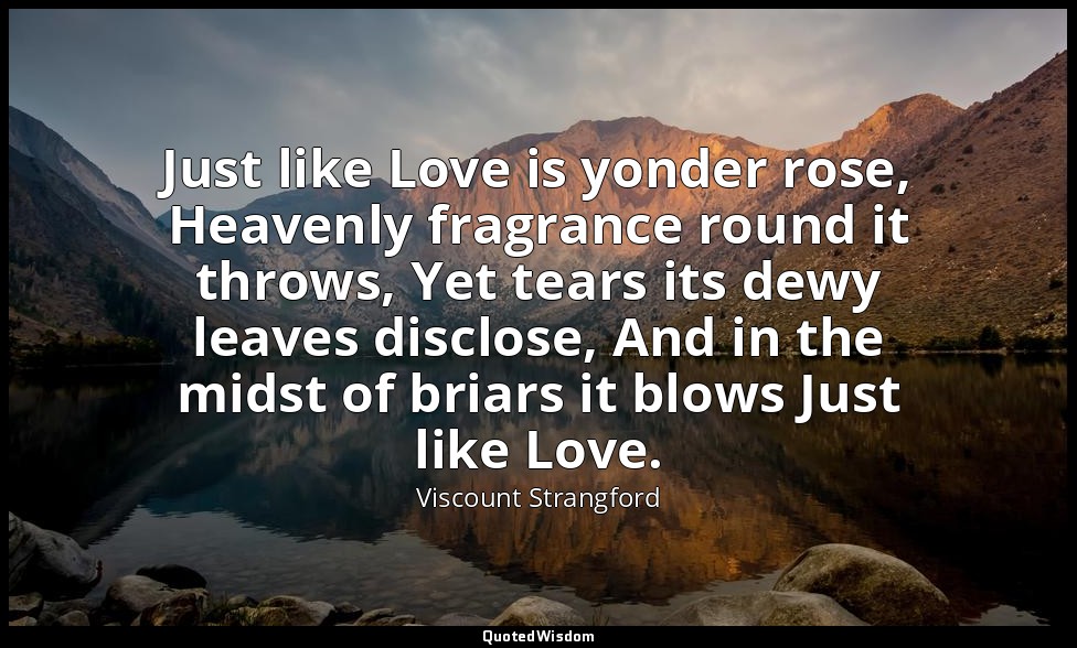 Just like Love is yonder rose, Heavenly fragrance round it throws, Yet tears its — Viscount Strangford