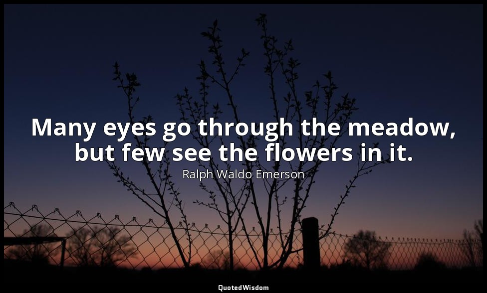 Many eyes go through the meadow, but few see the flowers in it. — Ralph Waldo Emerson