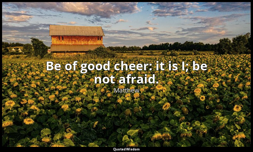 Be of good cheer: it is I; be not afraid. — Matthew
