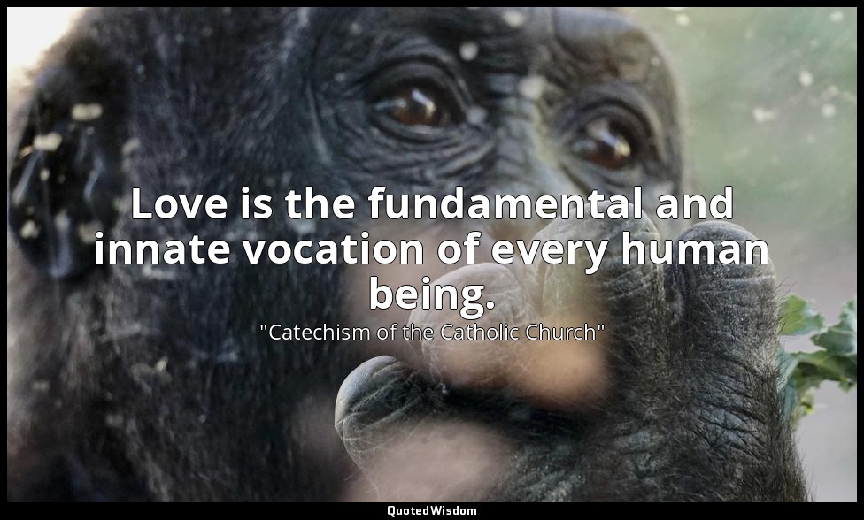 Love is the fundamental and innate vocation of every human being. — "Catechism of the Catholic Church"