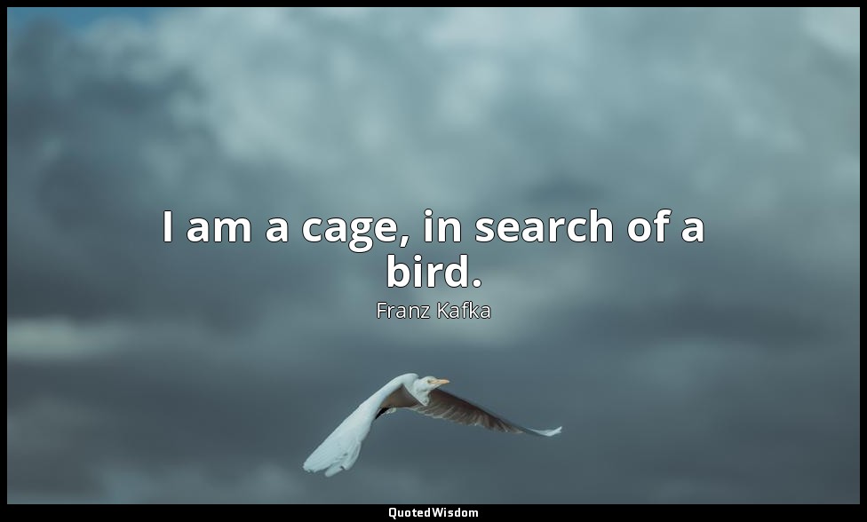 I am a cage, in search of a bird. — Franz Kafka
