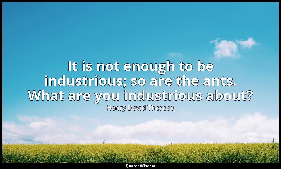 It is not enough to be industrious; so are the ants. What are you industrious ab — Henry David Thoreau