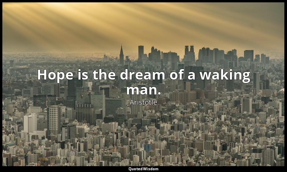 Hope is the dream of a waking man. — Aristotle