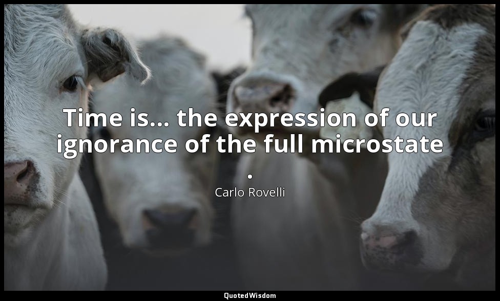 Time is... the expression of our ignorance of the full microstate . — Carlo Rovelli