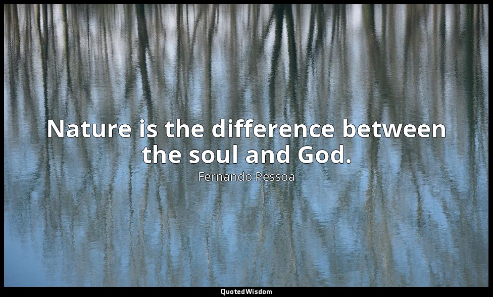 Nature is the difference between the soul and God. — Fernando Pessoa