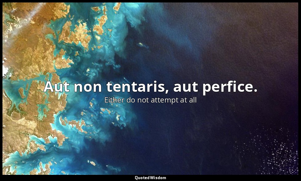 Aut non tentaris, aut perfice. — Either do not attempt at all