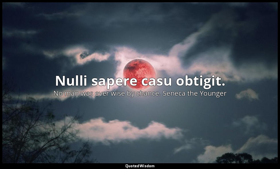 Nulli sapere casu obtigit. — No man was ever wise by chance. Seneca the Younger