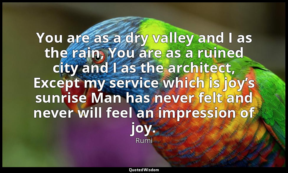 You are as a dry valley and I as the rain, You are as a ruined city and I as the — Rumi