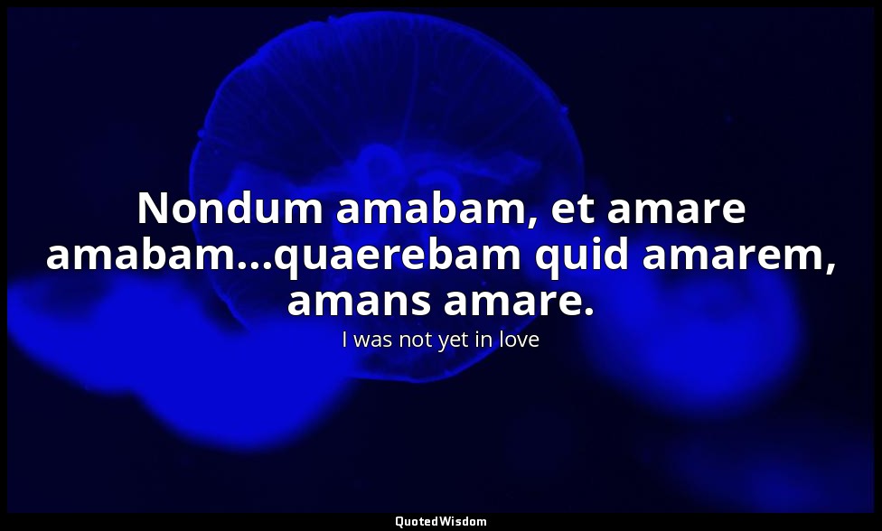 Nondum amabam, et amare amabam...quaerebam quid amarem, amans amare. — I was not yet in love