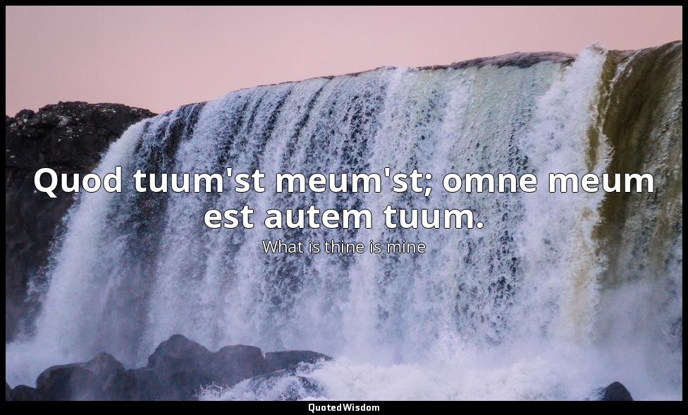 Quod tuum'st meum'st; omne meum est autem tuum. — What is thine is mine