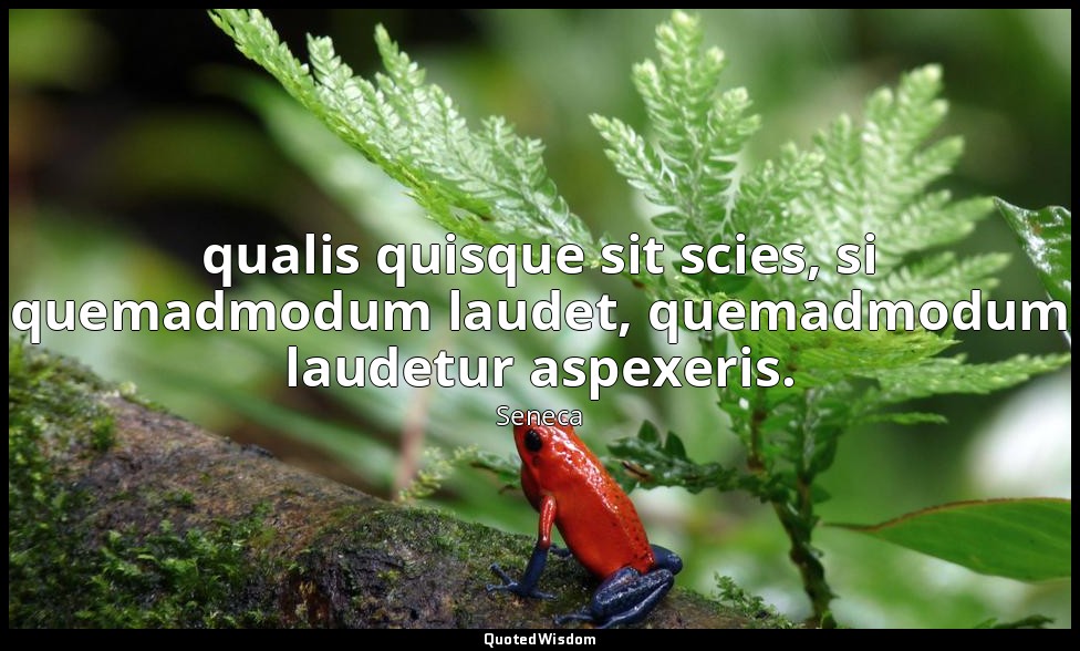 qualis quisque sit scies, si quemadmodum laudet, quemadmodum laudetur aspexeris. — Seneca