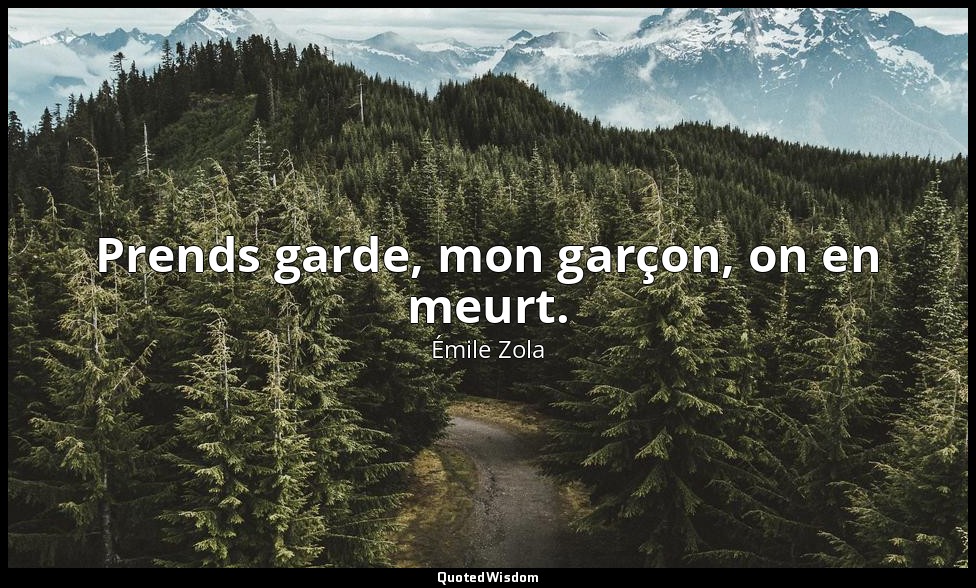 Prends garde, mon garçon, on en meurt. — Émile Zola