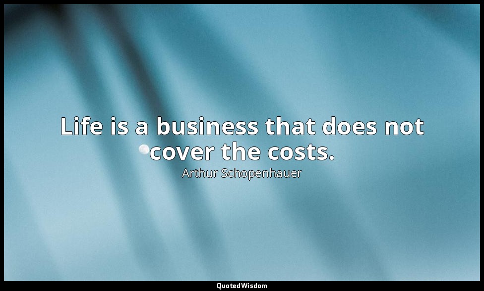 Life is a business that does not cover the costs. — Arthur Schopenhauer