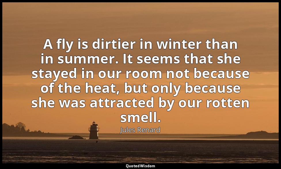 A fly is dirtier in winter than in summer. It seems that she stayed in our room  — Jules Renard