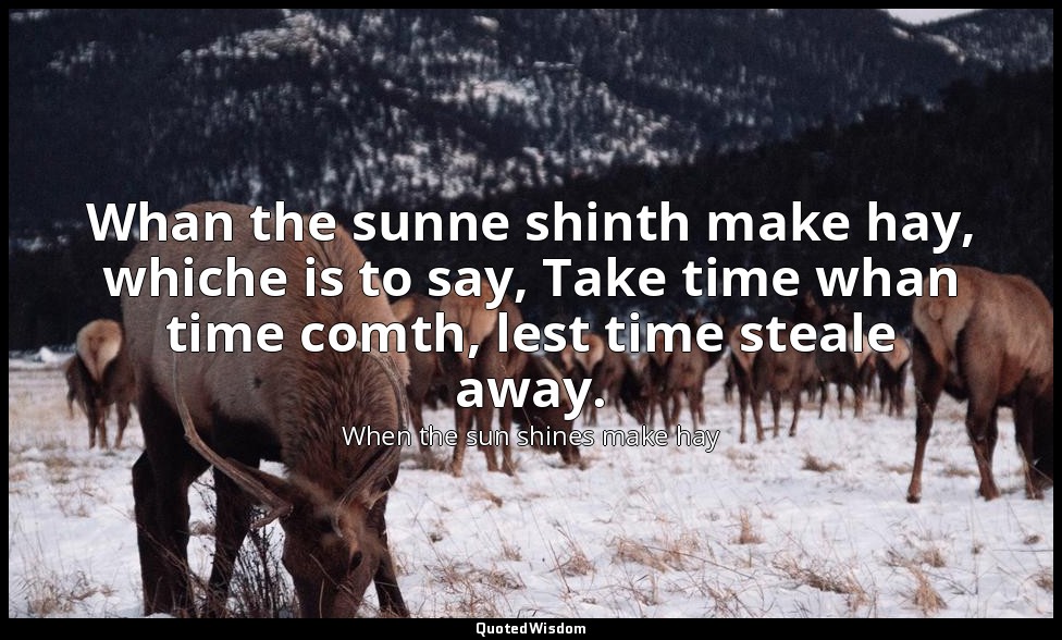 Whan the sunne shinth make hay, whiche is to say, Take time whan time comth, les — When the sun shines make hay