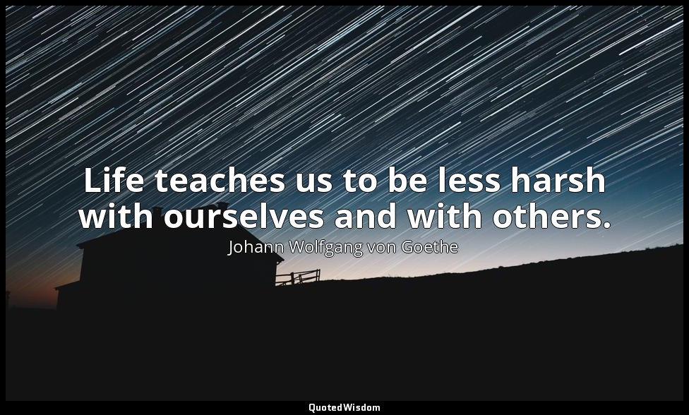 Life teaches us to be less harsh with ourselves and with others. — Johann Wolfgang von Goethe