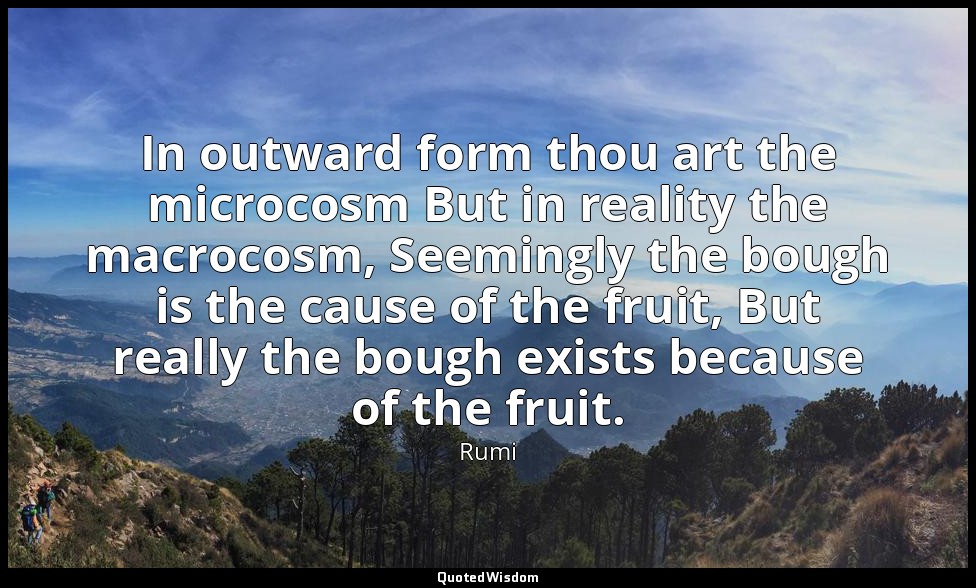 In outward form thou art the microcosm But in reality the macrocosm, Seemingly t — Rumi