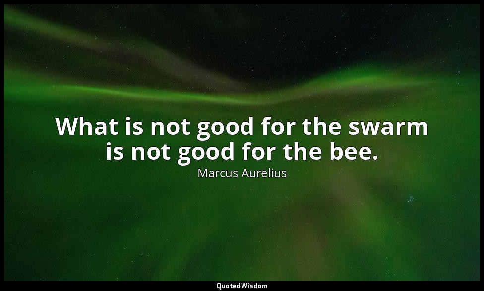 What is not good for the swarm is not good for the bee. — Marcus Aurelius