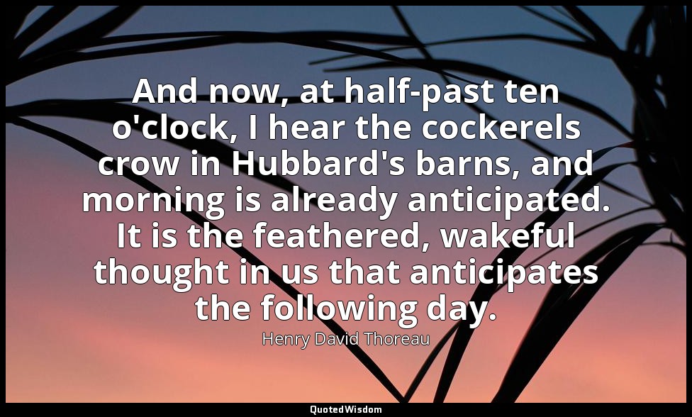 And now, at half-past ten o'clock, I hear the cockerels crow in Hubbard's barns, — Henry David Thoreau