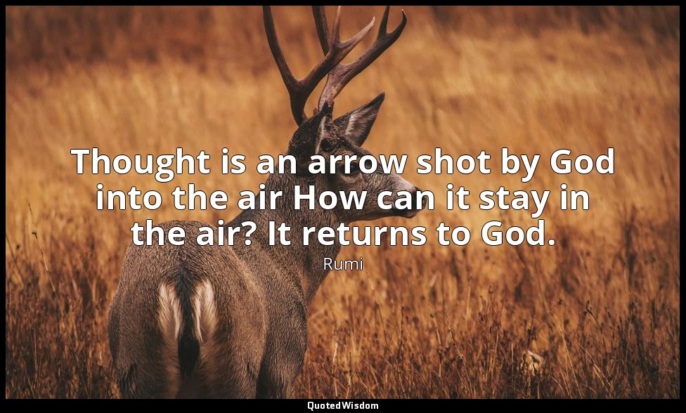 Thought is an arrow shot by God into the air How can it stay in the air? It retu — Rumi