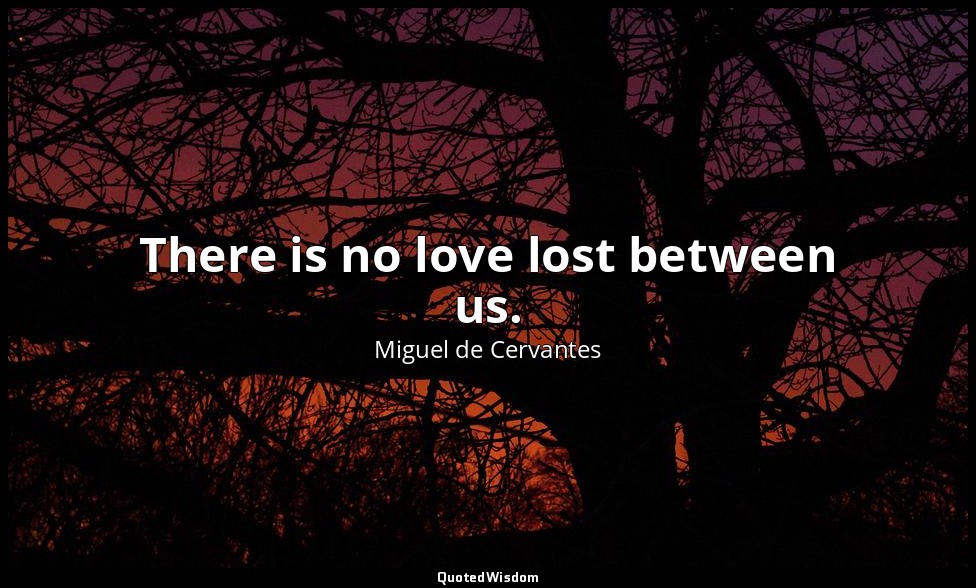 There is no love lost between us. — Miguel de Cervantes