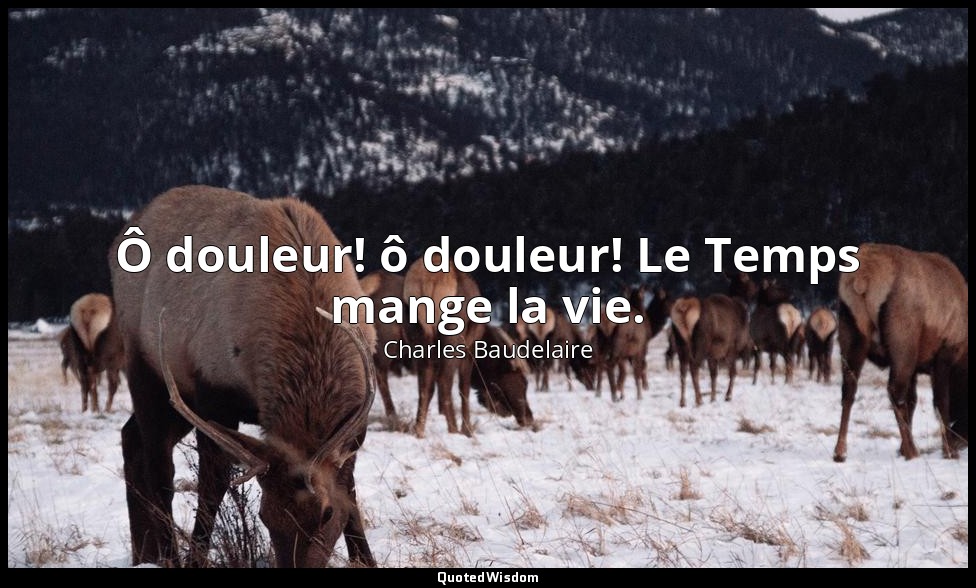 Ô douleur! ô douleur! Le Temps mange la vie. — Charles Baudelaire