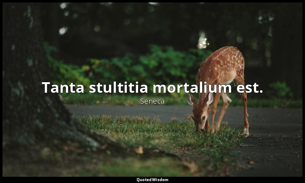 Tanta stultitia mortalium est. — Seneca