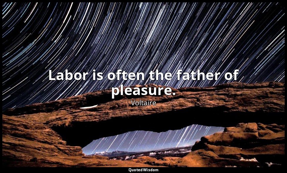 Labor is often the father of pleasure. — Voltaire