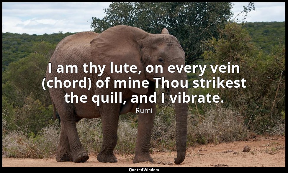 I am thy lute, on every vein (chord) of mine Thou strikest the quill, and I vibr — Rumi