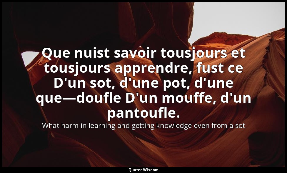 Que nuist savoir tousjours et tousjours apprendre, fust ce D'un sot, d'une pot,  — What harm in learning and getting knowledge even from a sot