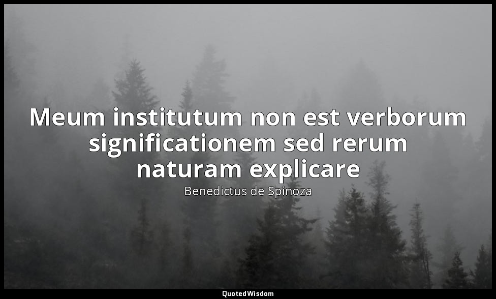 Meum institutum non est verborum significationem sed rerum naturam explicare — Benedictus de Spinoza