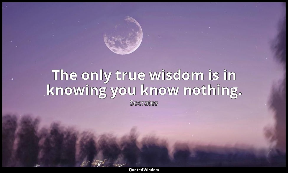 The only true wisdom is in knowing you know nothing. — Socrates