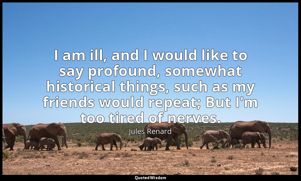 I am ill, and I would like to say profound, somewhat historical things, such as  — Jules Renard