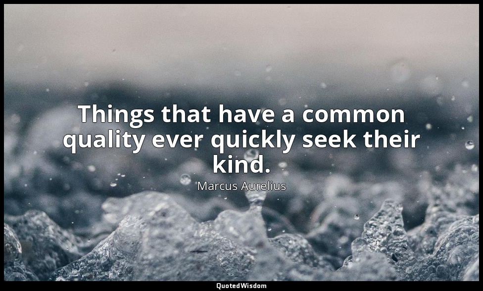 Things that have a common quality ever quickly seek their kind. — Marcus Aurelius