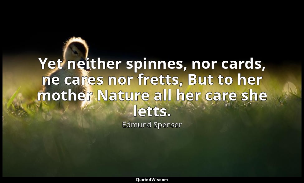Yet neither spinnes, nor cards, ne cares nor fretts, But to her mother Nature al — Edmund Spenser