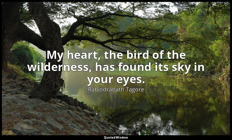 My heart, the bird of the wilderness, has found its sky in your eyes. — Rabindranath Tagore