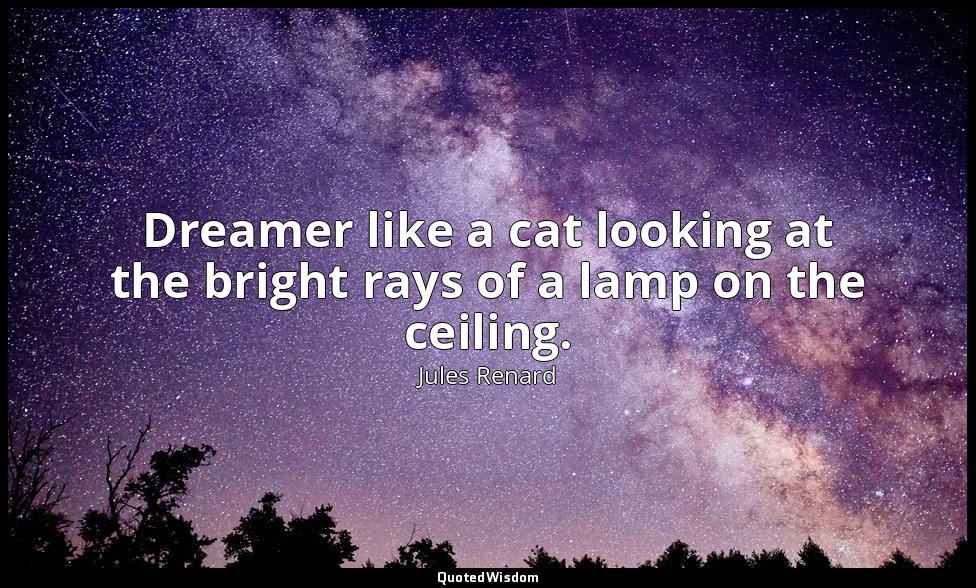 Dreamer like a cat looking at the bright rays of a lamp on the ceiling. — Jules Renard