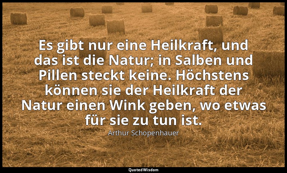 Es gibt nur eine Heilkraft, und das ist die Natur; in Salben und Pillen steckt k — Arthur Schopenhauer