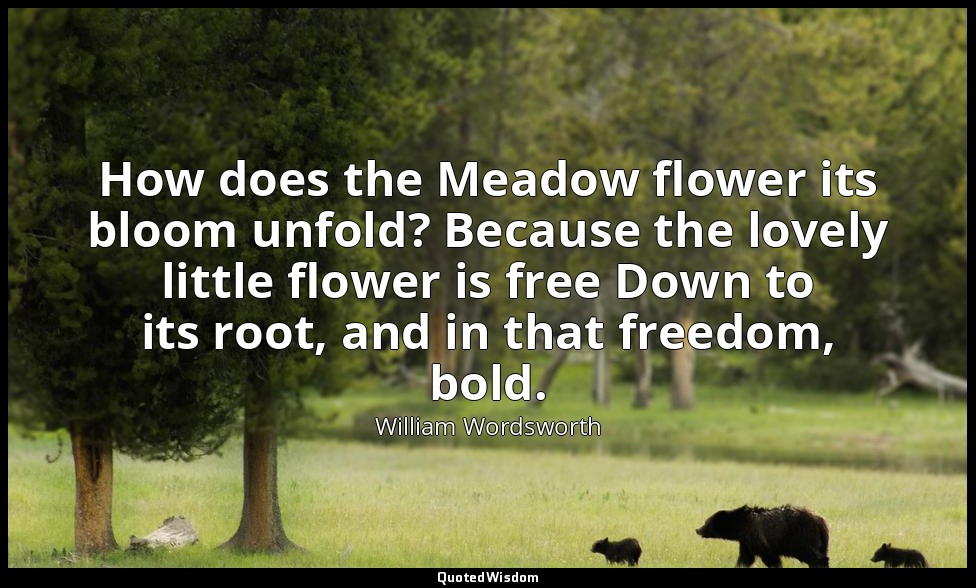How does the Meadow flower its bloom unfold? Because the lovely little flower is — William Wordsworth