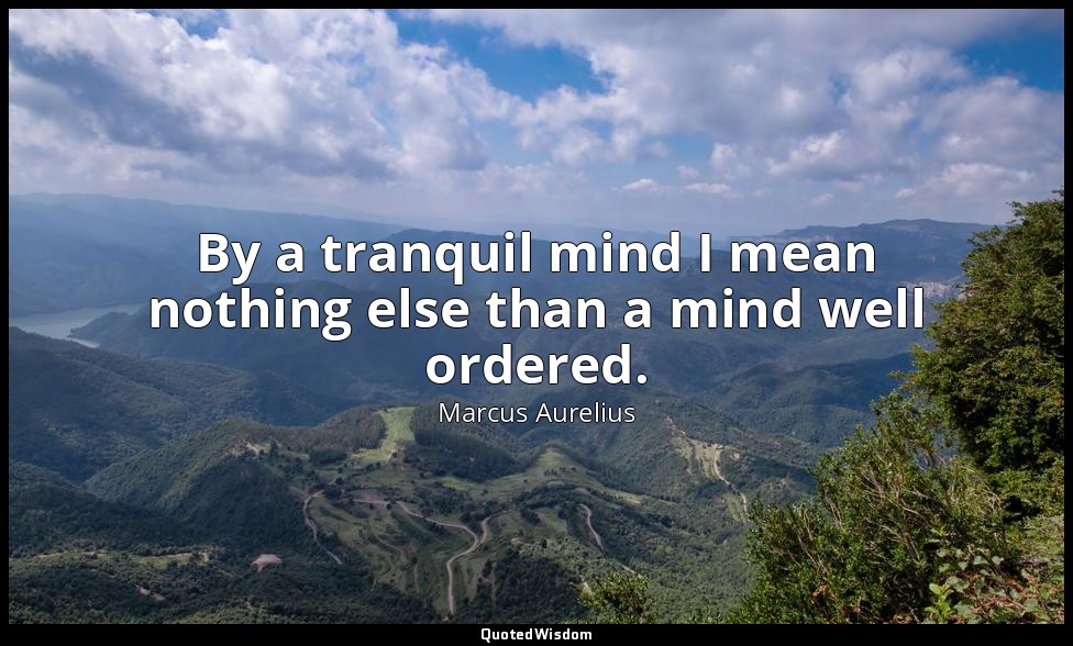 By a tranquil mind I mean nothing else than a mind well ordered. — Marcus Aurelius