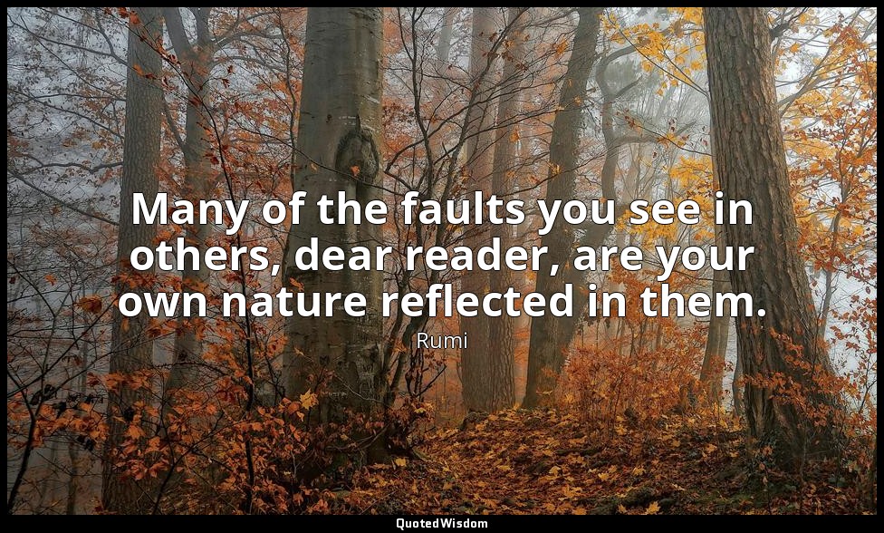 Many of the faults you see in others, dear reader, are your own nature reflected — Rumi