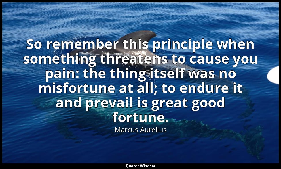 So remember this principle when something threatens to cause you pain: the thing — Marcus Aurelius