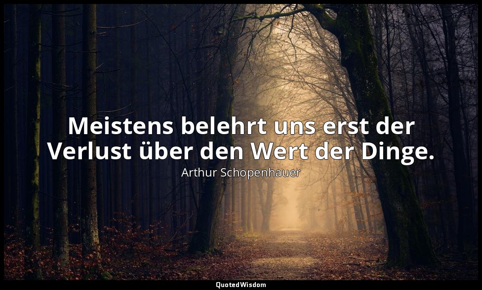 Meistens belehrt uns erst der Verlust über den Wert der Dinge. — Arthur Schopenhauer